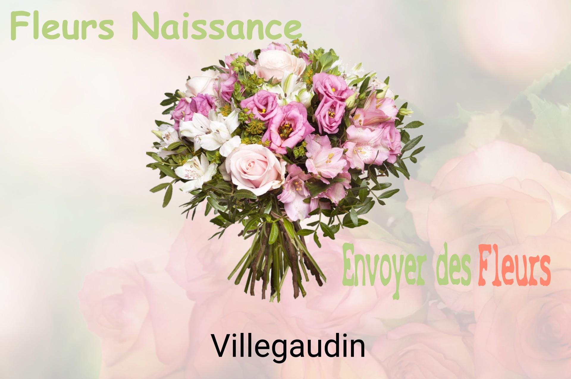 Bouquet de fleurs de naissance livré à Villegaudin